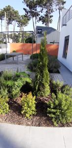 a park with a bench and trees and plants at Casa da Falésia in Almada