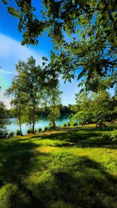 a view of a park with trees and a lake at Campingfass Zur Adria in Großdubrau +10 photos