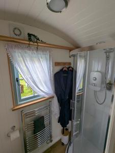a small bathroom with a shower and a window at Cornish Valley Retreat in Bodmin