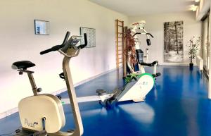 a gym with two treadmills and two exercise bikes at Ferienwohnung C05 in Orselina