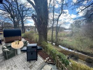 a patio with a table and a grill and a tree at Ferienhaus TRAUM AM SEE mit Sauna und Whirlpool in Zislow