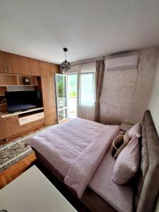 a bedroom with a large bed and a television at Apartment Harmony in Plužine