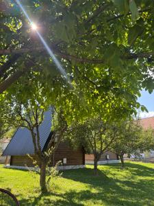 a building with trees in front of it at Tara Lux 2 in Mojkovac
