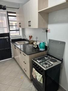 a small kitchen with a stove and a sink at Serenity suites in Nairobi