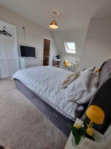 Gallery image of The Pink Door in Killala +28 photos