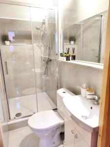 a bathroom with a shower and a toilet and a sink at Prime Location Apartment Vilnius in Vilnius +24 photos