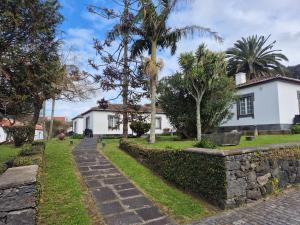 a house with a palm tree and a stone wall at Solar Do Conde Garden Hotel in Capelas