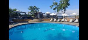 a large blue swimming pool with chairs and umbrellas at Taboo Muskoka in Gravenhurst