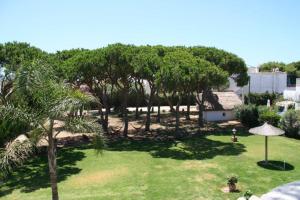a garden with trees and a lawn with a person in it at Finca Malyma with 2 villas and 1 apartment, beach front 10,000m2 botanic garden in Zahora +26 photos