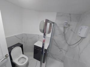 a bathroom with a shower and a toilet in it at Greenmount - 1 Bed Apartment in Naas