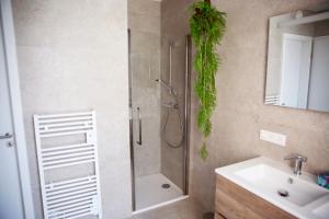 a bathroom with a shower and a sink at Prime apartment in Liège +32 photos