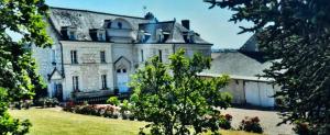 an old house with a garden in front of it at Château de Naie in Avon-les-Roches