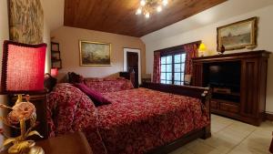 a bedroom with a bed and a television in it at Le Relais de la Tour in La Chaussée-Saint-Victor