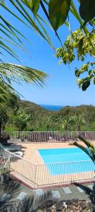 a swimming pool in a yard with a palm tree at Habitation Colas in Pointe-Noire +49 photos