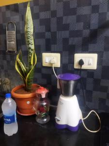 a blender sitting on a counter next to a plant at Nomad in Coimbatore