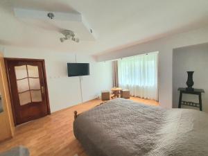 ein Schlafzimmer mit Bett und Flachbildfernseher in der Unterkunft RaluApart in Bicaz