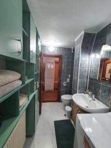 ein Badezimmer mit Waschbecken und Toilette in der Unterkunft RaluApart in Bicaz