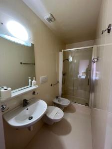 a bathroom with a sink and a toilet and a shower at Agriturismo al Ranch in Castello dʼAviano