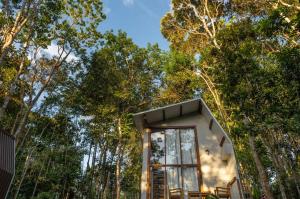 a small house in the middle of the forest at Itacaré Ecolodge - Experiencia de Imersão na Mata Atlântica in Itacaré