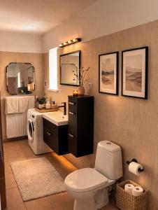 a bathroom with a toilet and a sink and mirror at Holiday House Jana in Muráň