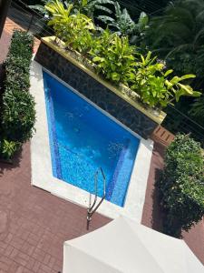 a blue swimming pool with plants on a patio at Condo Mono Titi in Quepos
