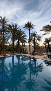 a large swimming pool with palm trees in the background at GITE LA GROTTE VALLEE in Aoûtouss