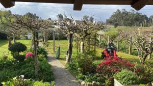 a person riding a motor scooter in a garden at A casa das hortênsias- caminho de Santiago in São Pedro da Torre