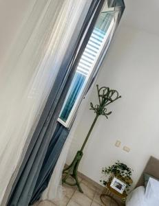 a room with a window with a plant in front of it at Maison RG in Torre Canne