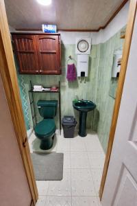 a bathroom with a green toilet and a sink at Greenhouse in Almirante