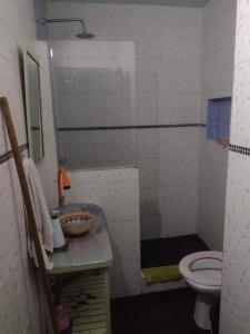 a small bathroom with a toilet and a sink at hotel tango club in Buenos Aires