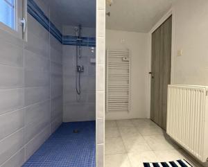 a bathroom with a shower and a blue tile floor at Etchechoury in Moncayolle-Larrory-Mendibieu +42 photos