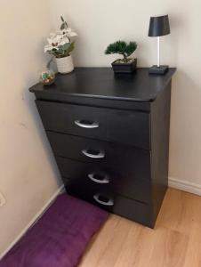 a black dresser with a lamp and a plant on it at Sandell Place in Oshawa