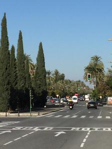 Fotografie z fotogalerie ubytování Hipalis Palmera v destinaci Seville