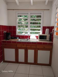 a kitchen with a sink and a microwave and a window at Chez COCO in Le Gosier