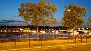 dos árboles al lado de un río por la noche en Miniapartman Budapest, en Budapest