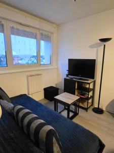 a living room with a bed and a flat screen tv at Le Stud in Belfort
