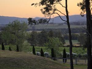 a garden with trees and a sunset in the background at Whispering Vines in Lovedale