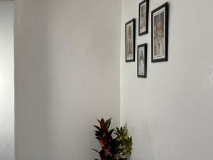 a white wall with four framed pictures on it at Dar lalla Malika in Rabat +142 photos