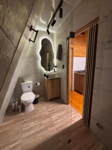 a bathroom with a white toilet and a mirror at Cabañas The Twins in Medellín +35 photos