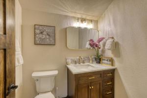 a bathroom with a toilet and a sink and a mirror at The Gold Hill Chalet in Keystone