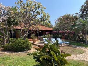 a group of chairs sitting in a yard at Habitacion Sol in Puerto Escondido +5 photos