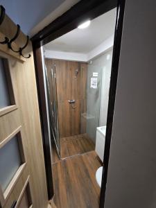a bathroom with a walk in shower and a toilet at Noclegi Pracownicze Niepołomice in Niepołomice