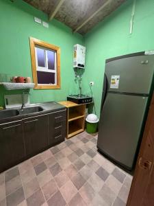 a green kitchen with a refrigerator and a sink at Casa alojamiento Peumallen in Puerto Varas
