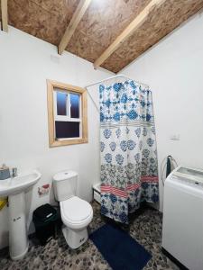 a bathroom with a toilet and a shower curtain at Casa alojamiento Peumallen in Puerto Varas