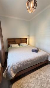 a bedroom with a large bed with a light above it at EVIS LTD apartments 3 in Rēzekne
