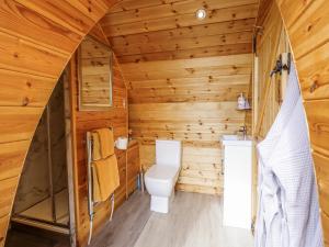 a log cabin bathroom with a toilet and a sink at The Rhiw in Newtown +31 photos