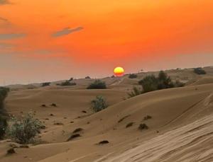 a sunset in the desert with the sun in the horizon at Desert Horizon Luxury Resort &Camp in Jaisalmer