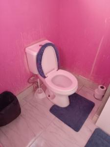 ein rosafarbenes Badezimmer mit einer Toilette, deren Sitz oben ist in der Unterkunft Queen room in Bridgetown
