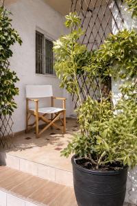 a chair and a table on a porch with plants at Navigo house Vrachati in Vrachati
