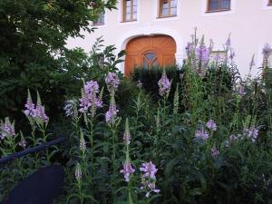Zahrada ubytování Frühstückspension Herzog zu Laah